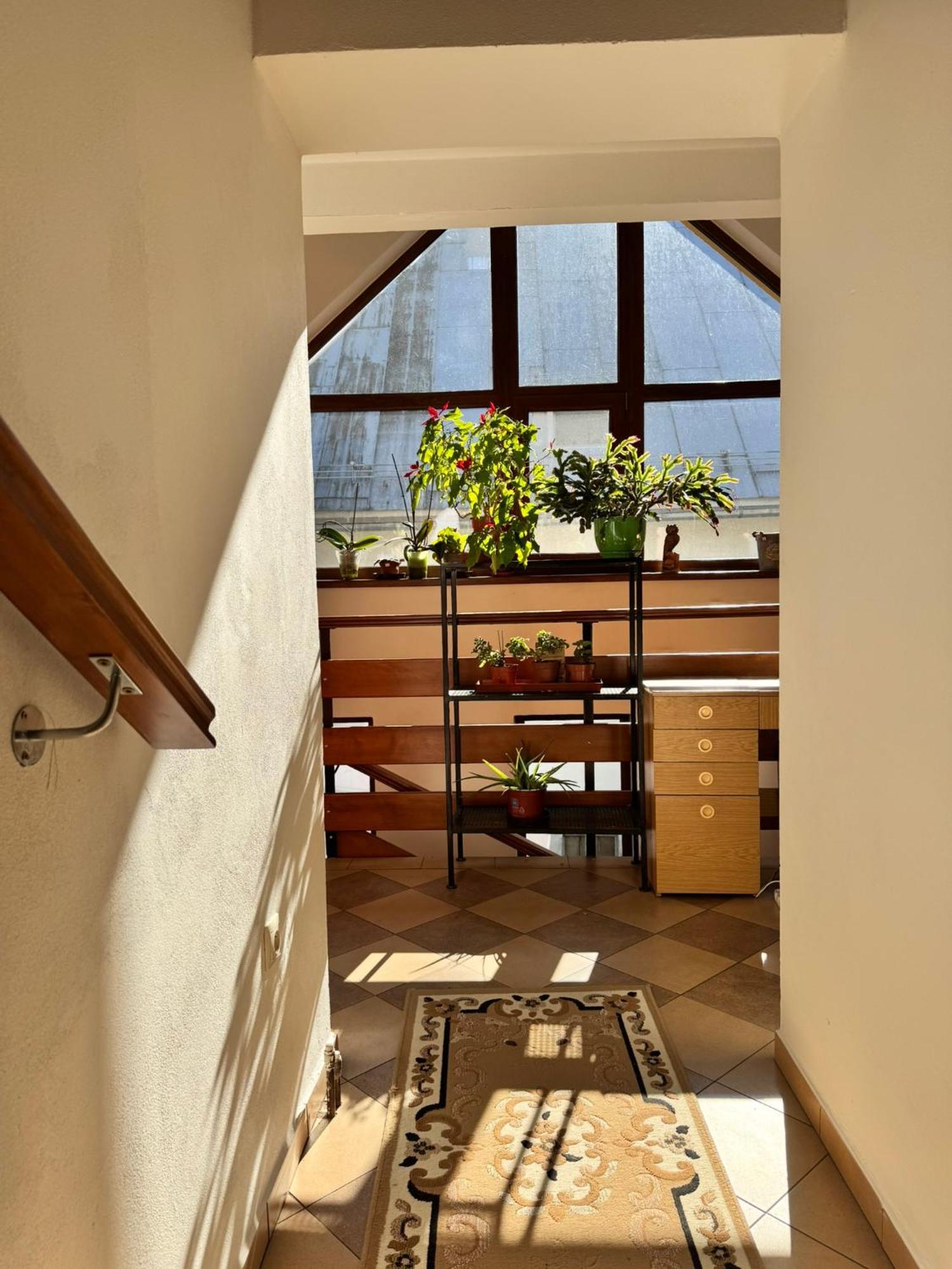 Apartmany Kenka Spisska Stara Ves Extérieur photo